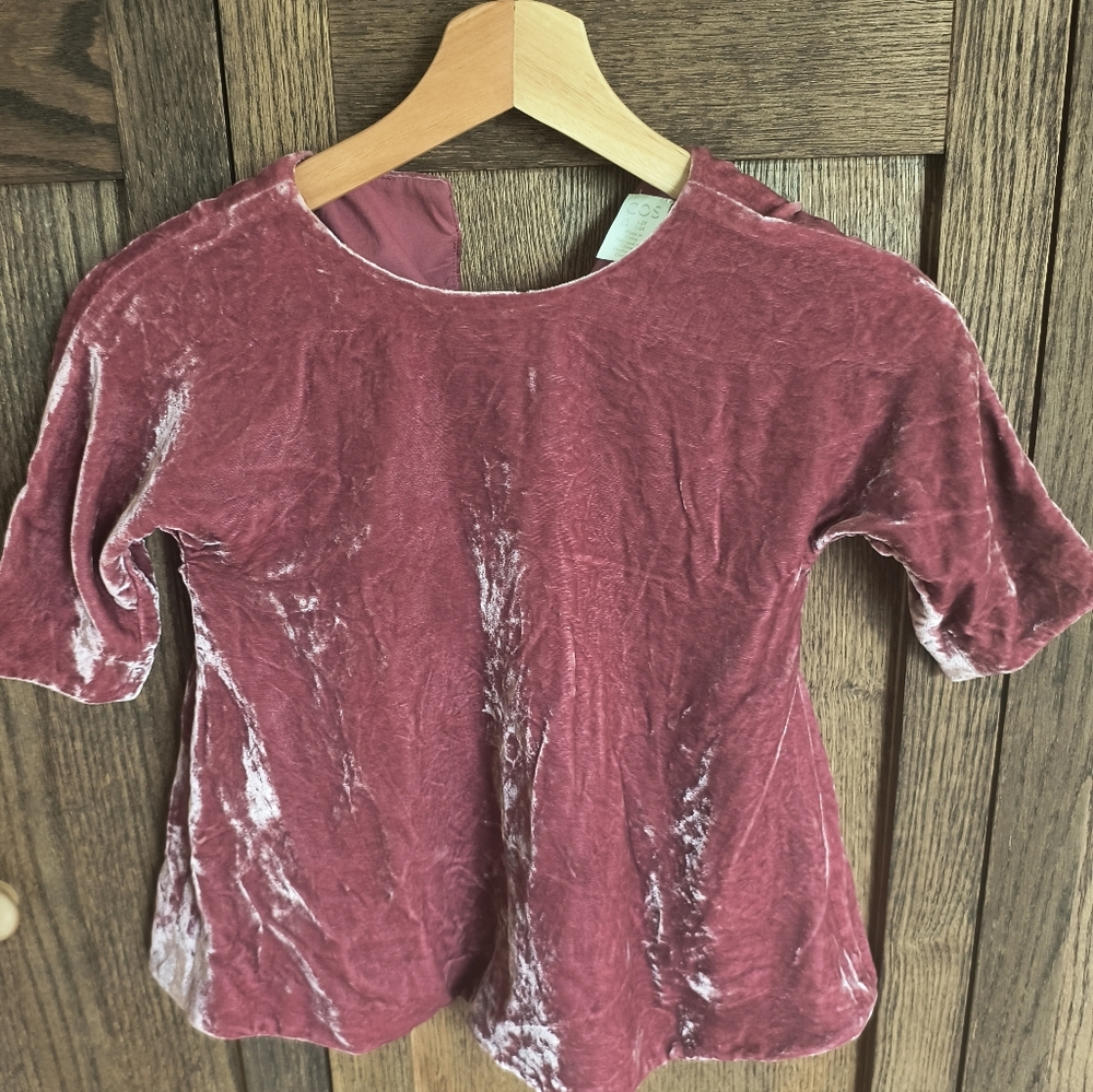 COS Velvet Dress 2T